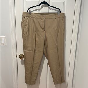 Lane Bryant Modernist Collection Tan Ankle Pants